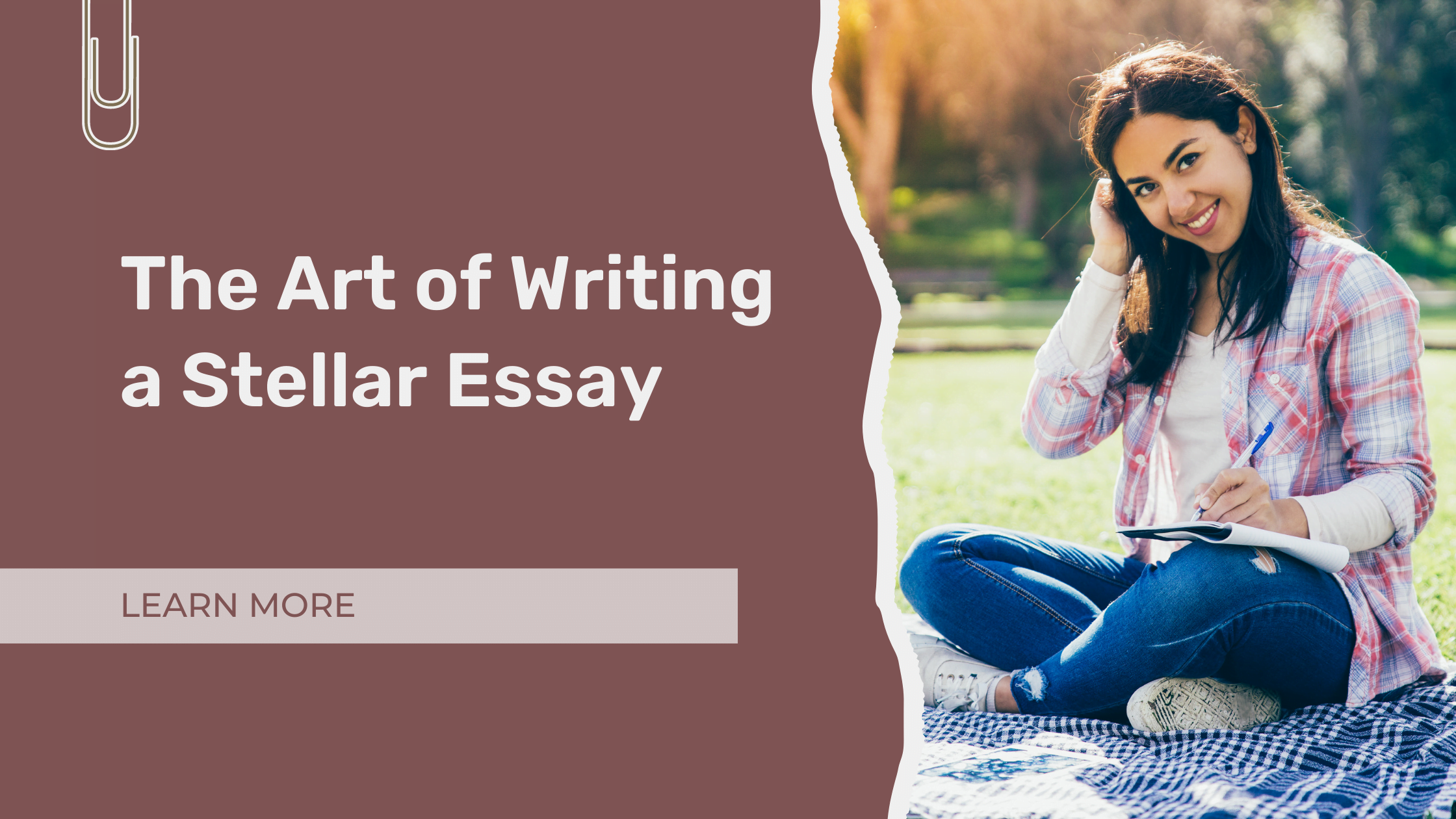 The Art of Writing a Stellar Essay