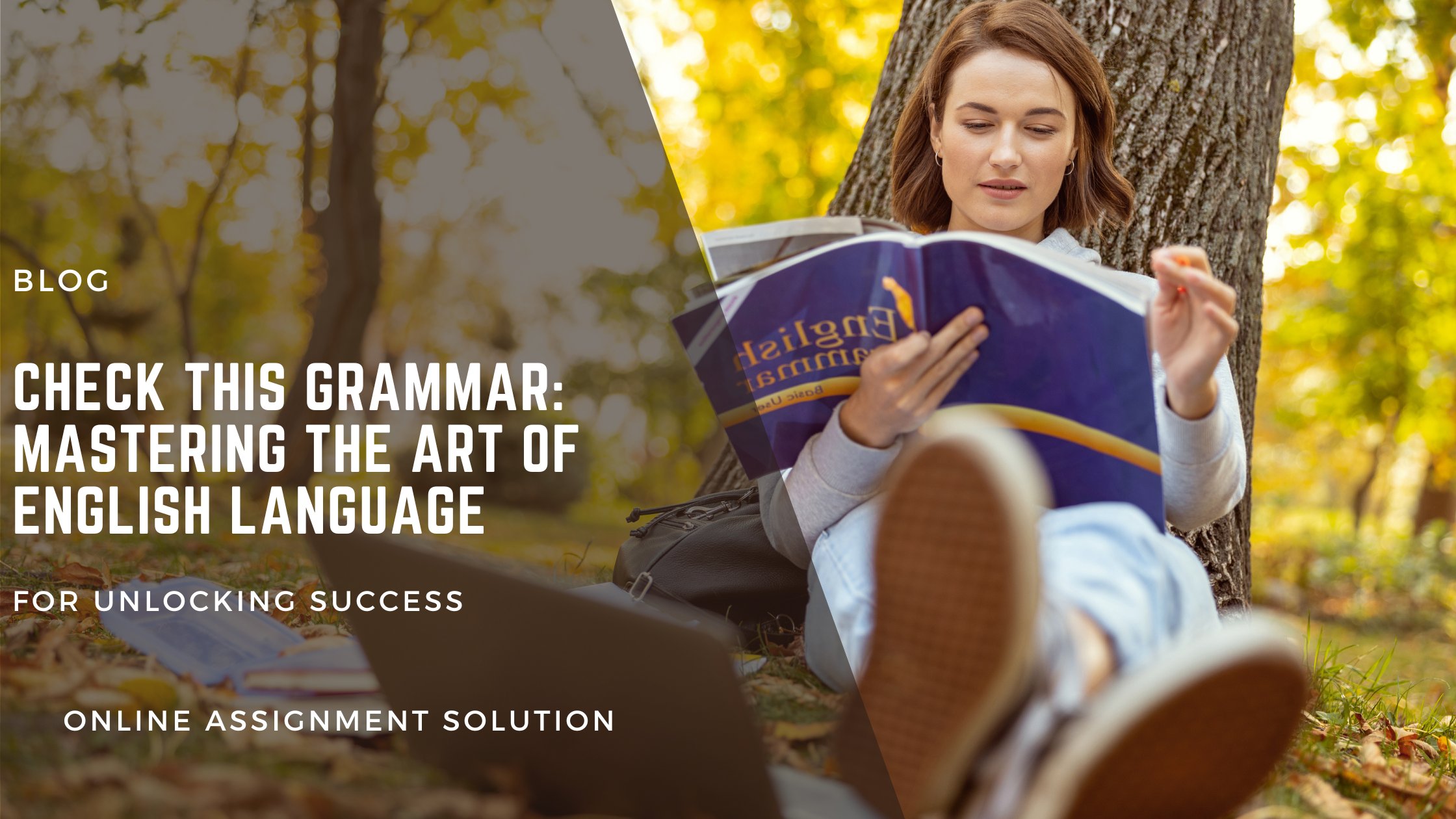 Check This Grammar: Mastering the Art of English Language