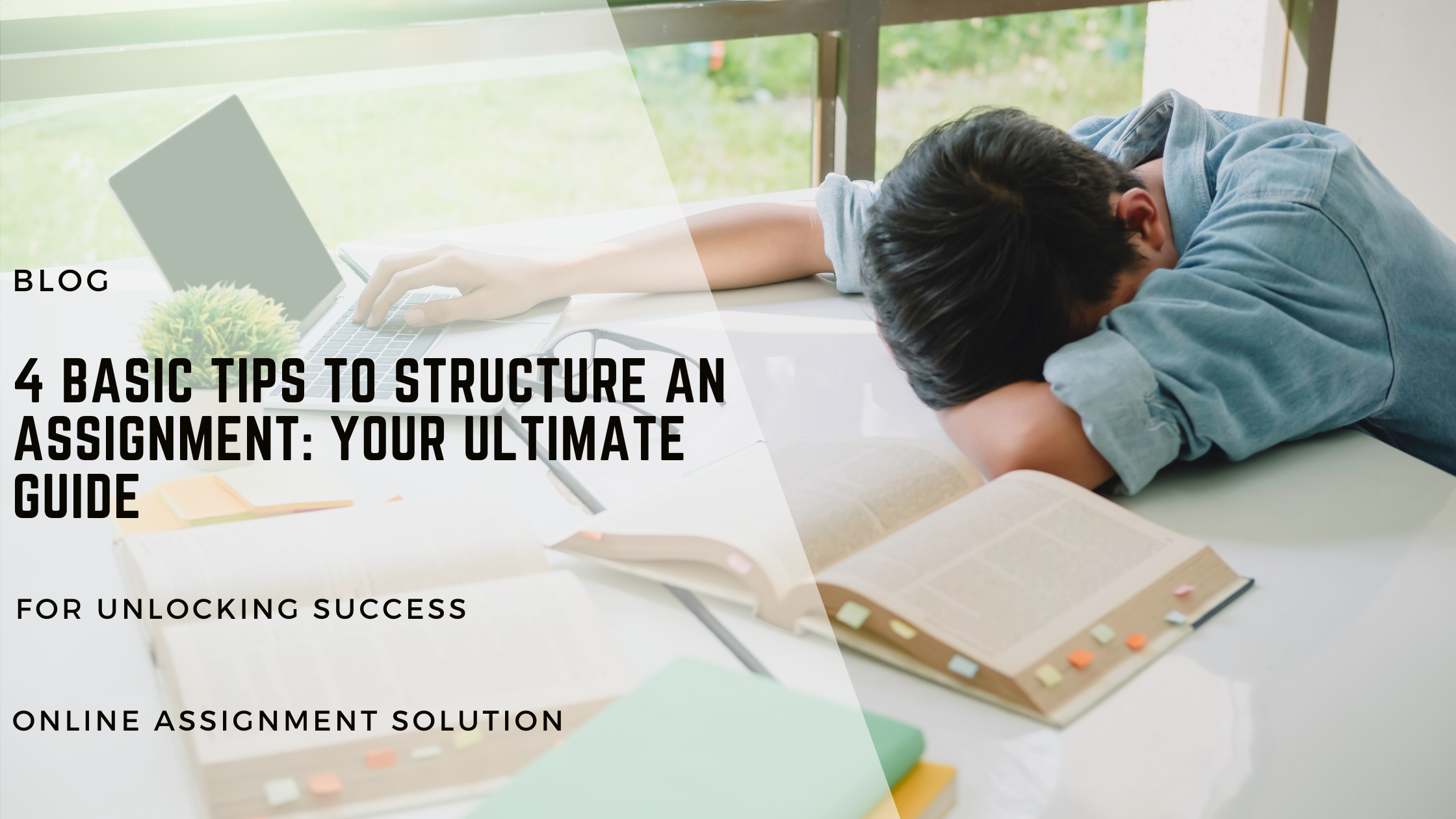 4 Basic Tips to Structure an Assignment: Your Ultimate Guide